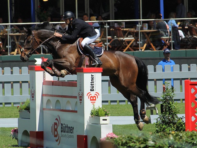 在本赛季N 在本赛季N