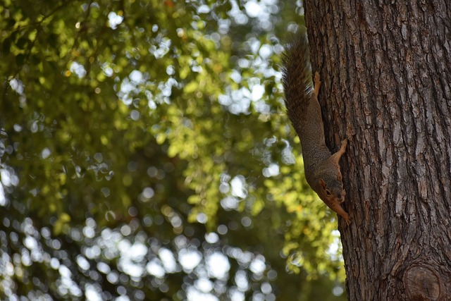他不再是用 他不再是用