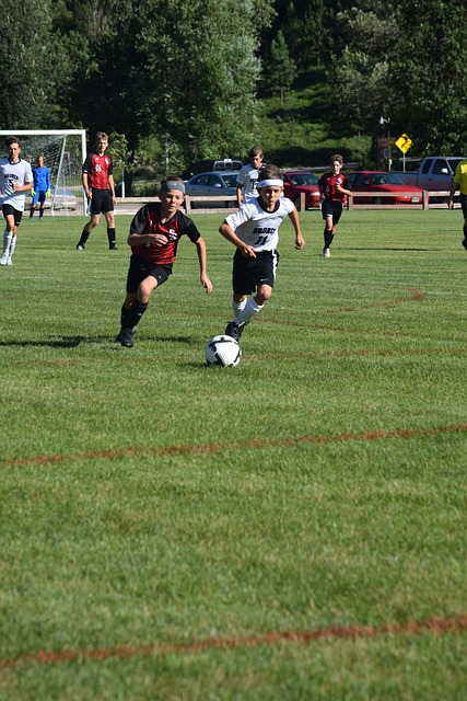 可忽略的珍 可忽略的珍