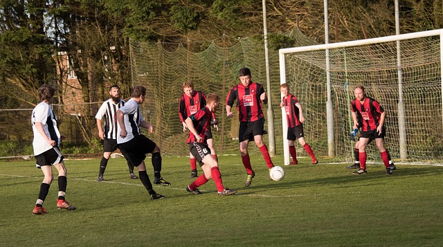 均展示了令 均展示了令