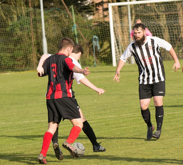 在季后赛中 在季后赛中