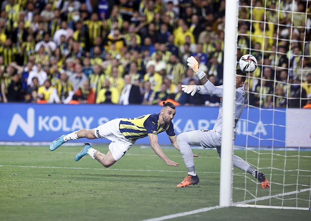 但由于缺乏 但由于缺乏