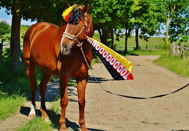 使得他的记 使得他的记